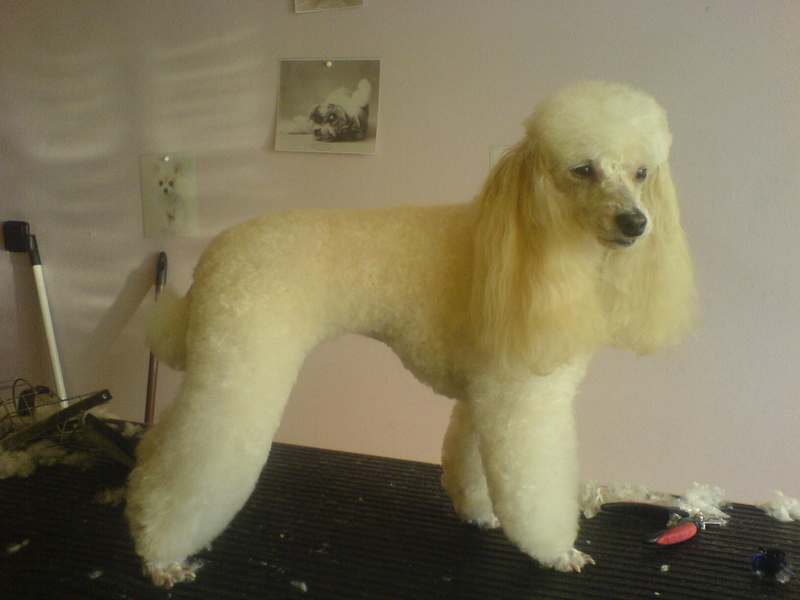 pes008.JPG