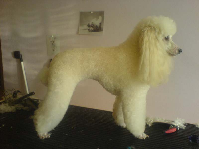 pes009.JPG