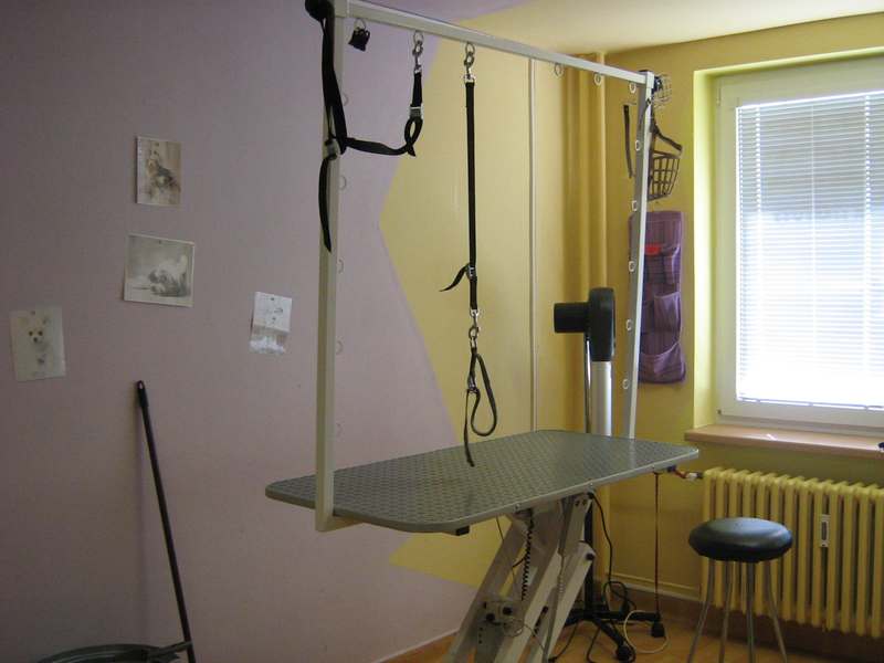 salon002.jpg
