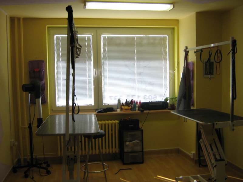 salon003.jpg